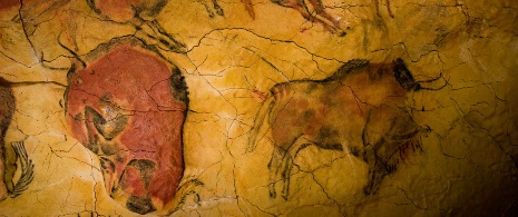 Reprodukcja malowidła z bizonami w Muzeum Altamira, Santillana del Mar