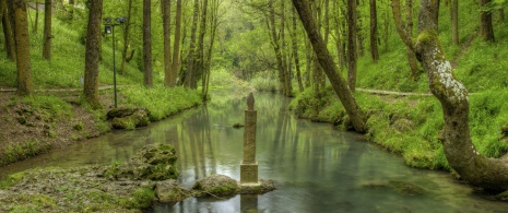 Quelle des Ebro im Ort Fontibre, Kantabrien