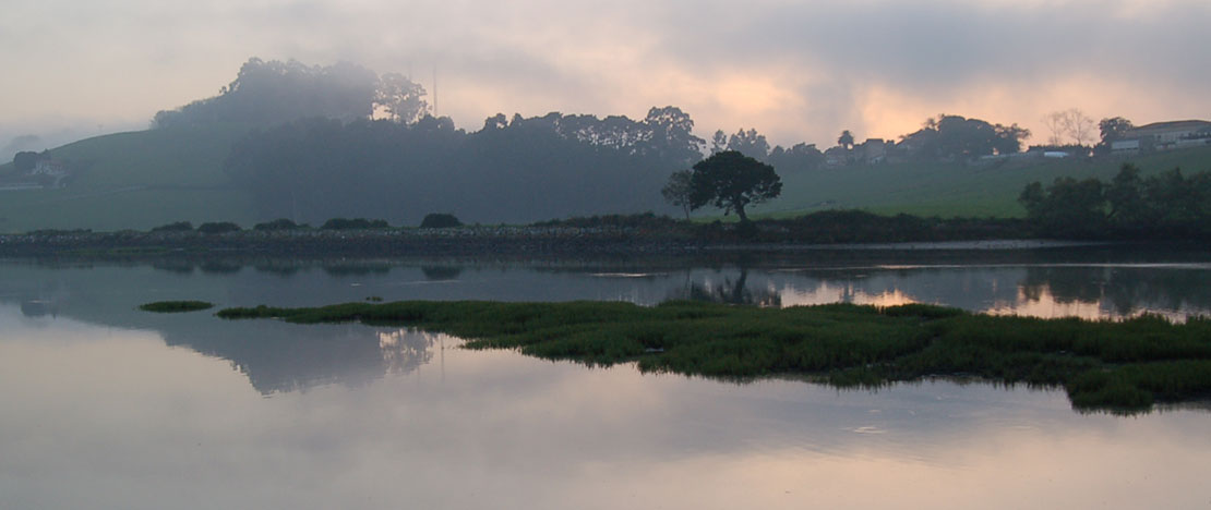 夕暮れのサントーニャ湿原、カンタブリア州 夕暮れのサントーニャ湿原、カンタブリア州
