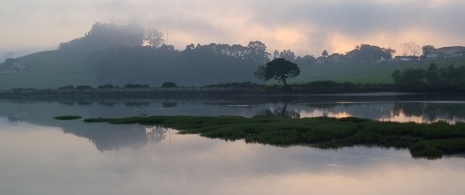 Paludi di Santoña al tramonto, Cantabria