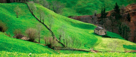 Vega de Pas, Cantabria