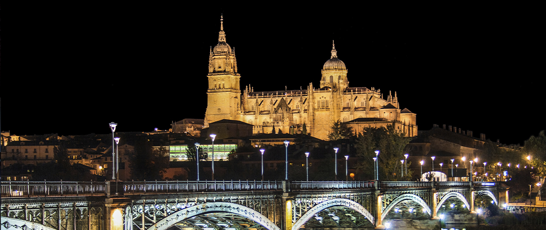 Kathedrale von Salamanca. Nachtansicht.