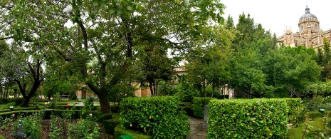Der Obstgarten von Calixto und Melibea in Salamanca, Kastilien und León