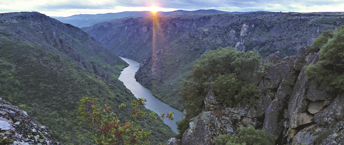 Mirador Colagón Tío Paco. Arribes del Duero. Zamora. Mirador Colagón Tío Paco. Arribes del Duero. Zamora.