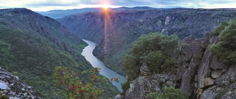 Mirador Colagón Tío Paco. Arribes del Duero. Zamora. Mirador Colagón Tío Paco. Arribes del Duero. Zamora.