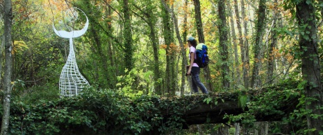 Szlak Camino del Agua w Parku Przyrody Las Batuecas - Sierra de Francia