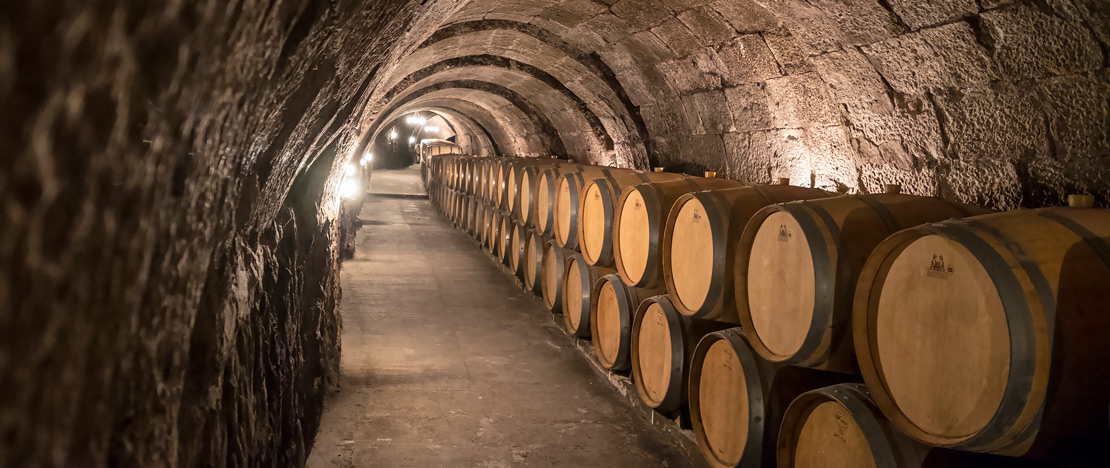 Adega na Ribera del Duero, Castilla y León