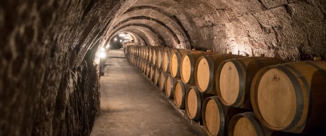 Weinkellerei in Ribera del Duero, Kastilien-León