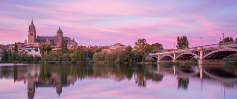 Views of Salamanca