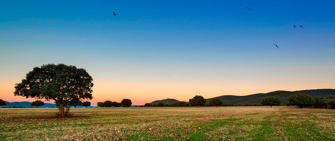 Park Narodowy Cabañeros Park Narodowy Cabañeros