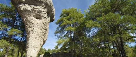 Die „Verzauberte Stadt“ in Cuenca