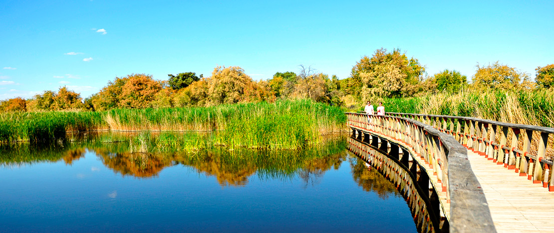 Parque Nacional de Tablas de Daimiel, em Castilla-La Mancha