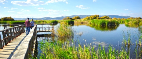 Turyści w Parku Narodowym Las Tablas de Daimiel w Ciudad Real, Kastylia-La Mancha