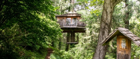 Tree-house in Sant Hilari Sacalm forest in Girona, Catalonia