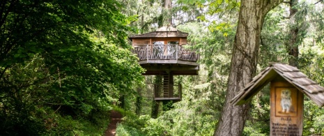 Baumhaus in den Wäldern bei Sant Hilari Sacalm in Girona, Katalonien