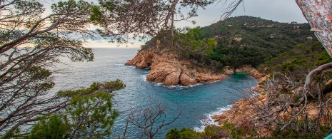 Cala Pola w Tossa del Mar w Gironie