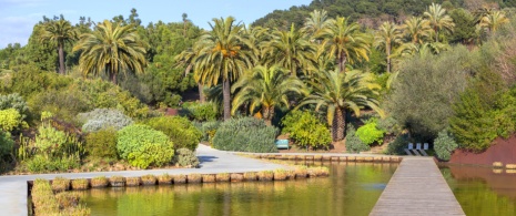 Ansicht des Botanischen Gartens von Barcelona, Katalonien