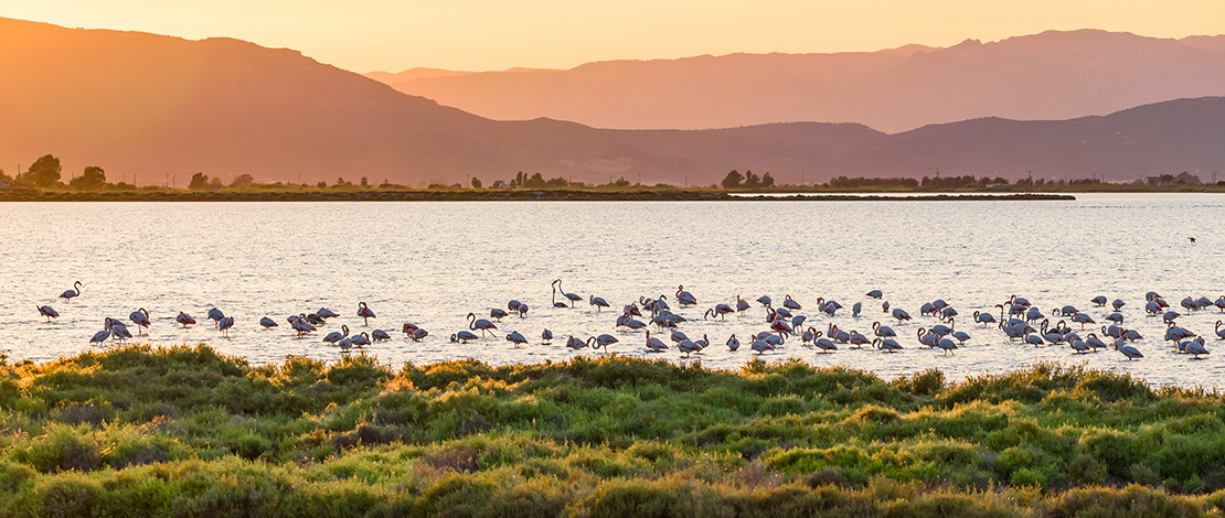 Tramonto nel Parco Naturale del Delta dell'Ebre, Tarragona Tramonto nel Parco Naturale del Delta dell'Ebre, Tarragona