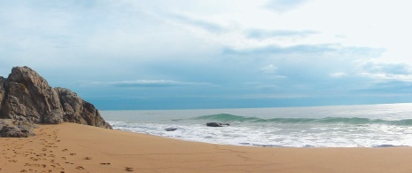 Detail of La Musclera beach in Arenys de Mar, Barcelona (Catalonia)