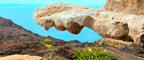 Ausschnitt aus der Landschaft an der Küste des Cap de Creus