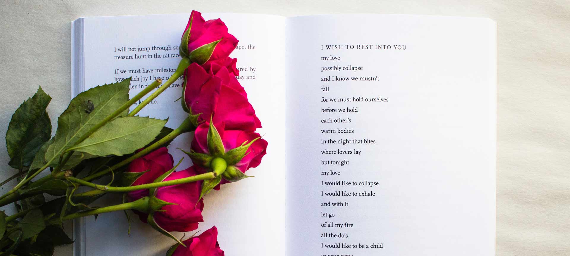 Rosa e libro Rosa e libro