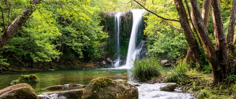 Gorg de Santa Margarida, Les Planes d'Hostoles, province de Gérone