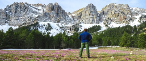 Tourist betrachtet die herrliche, schneebedeckte Gebirgslandschaft im Frühjahr, Prat de Cadi, Katalonien