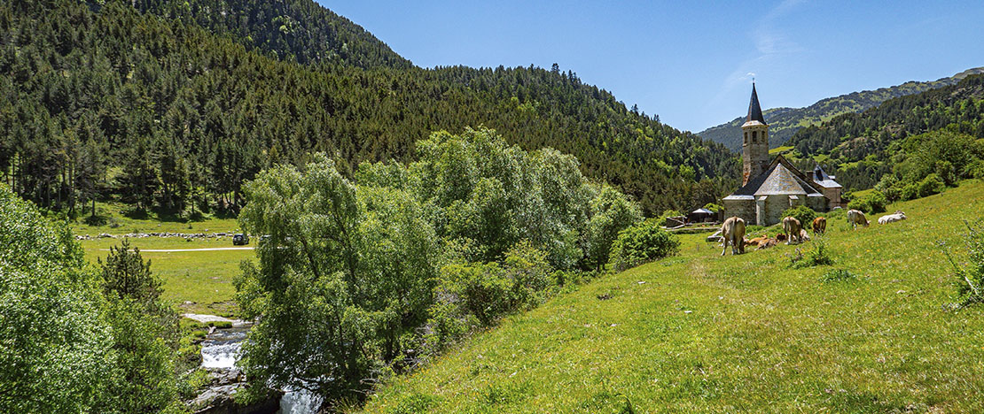 Vale Arán. Lleida