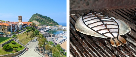 Port de Getaria dans la province de Guipuscoa / Turbot grillé fraîchement acheté sur le marché de Getaria