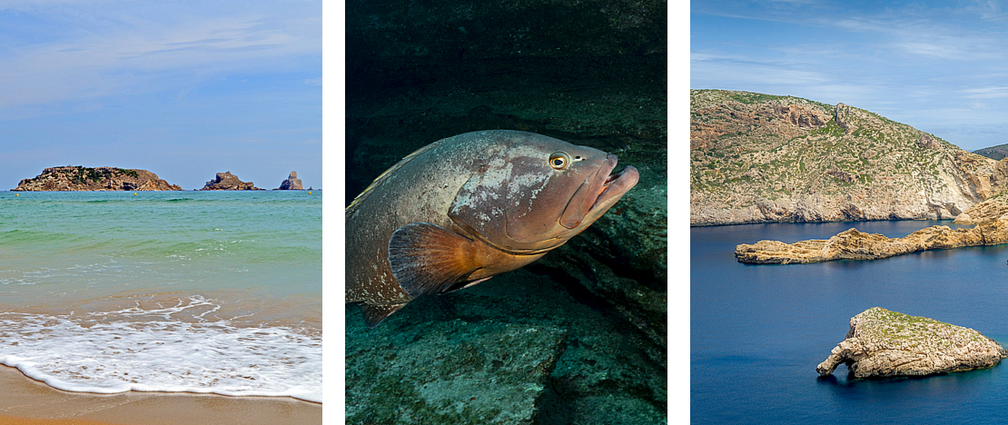 À gauche : Réserve Marine des Îles Medes à Gérone, Catalogne / Centre : Mérou sur l'île d'El Hierro, Îles Canaries / Droite : Réserve marine de l'île de Cabrera, Îles Baléares À gauche : Réserve Marine des Îles Medes à Gérone, Catalogne / Centre : Mérou sur l'île d'El Hierro, Îles Canaries / Droite : Réserve marine de l'île de Cabrera, Îles Baléares