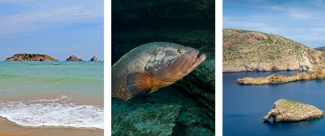 Links: Meeresreservat der Medas-Inseln in Girona, Katalonien / Mitte: Zackenbarsch an der Insel El Hierro, Kanarische Inseln / Rechts: Marinepark der Insel Cabrera, Balearische Inseln
