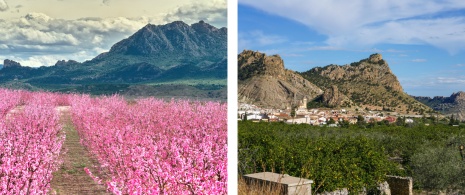 Esquerda: Detalhe dos campos de pessegueiros em Cieza, Múrcia/Direita: Vista panorâmica da localidade de Ricote, Múrcia