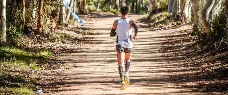 Marathon auf den Grünen Wegen Marathon auf den Grünen Wegen