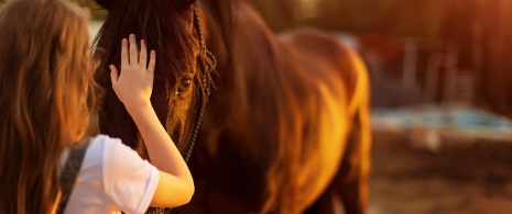 Bambina che accarezza un cavallo