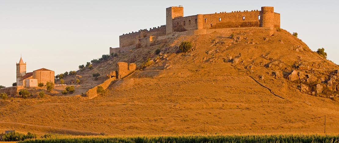 Castillo de Medellín. Badajoz Castillo de Medellín. Badajoz