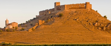 Castillo de Medellín. Badajoz