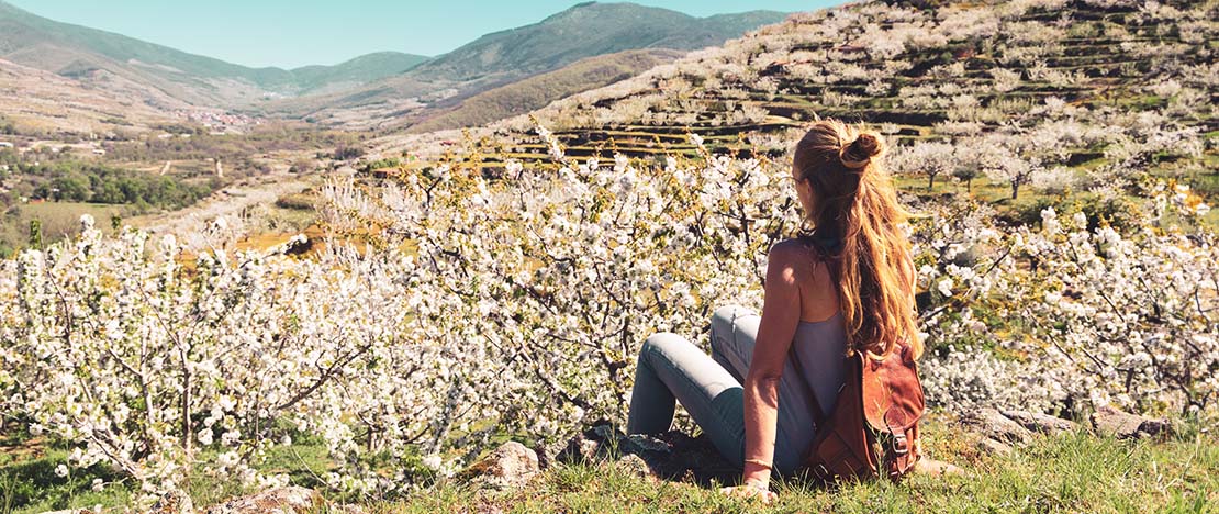 エクストレマドゥーラ州ヘルテ渓谷で満開の桜を見つめる観光客