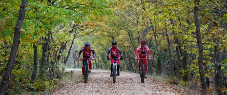 Ciclistas em uma Via Verde