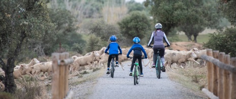 Mutter und Kinder radeln auf dem grünen Weg Mine La Jayona in Badajoz