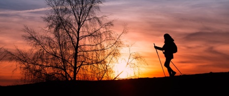 Pilger bei Sonnenaufgang auf dem Jakobsweg