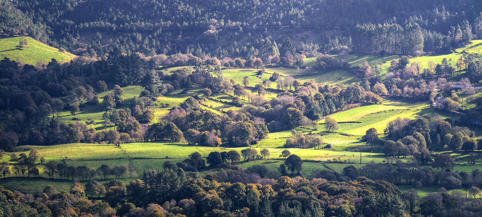 Vista de colinas verdes y bosques, Lugo Vista de colinas verdes y bosques, Lugo