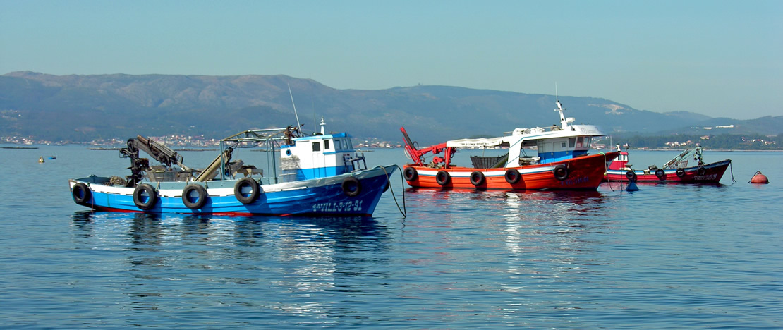 Bateaux de pêche en Galice Bateaux de pêche en Galice