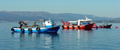 Fischerboote in Galicien