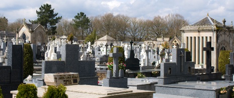 ガリシア州ルーゴ市のサン・フロイラン市営墓地の眺め