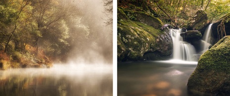 Parque Natural de Fragas do Eume em A Corunha, Galiza