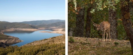 Parque Natural O Invernadeiro em Ourense, Galiza