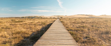 Parque Natural do Complexo dunar de Corrubedo e Lagunas de Carregal e Vixán em A Corunha, Galiza