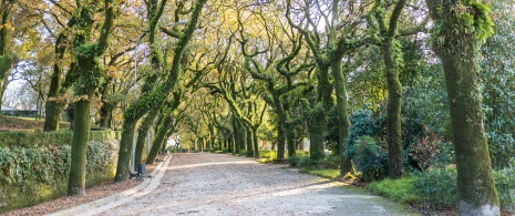 Park Alameda w Santiago de Compostela, Galicja