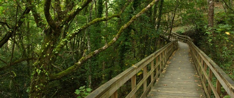 Walkways over the River Mao in Ribeira Sacra, Galicia