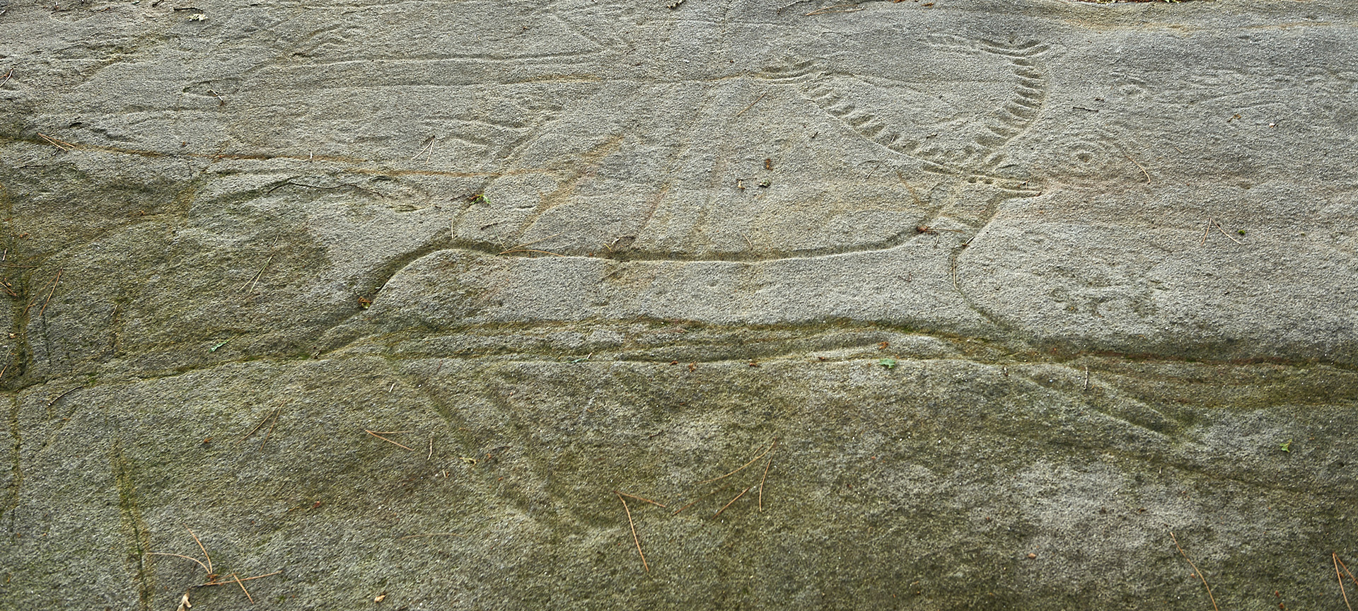 Vista de arte rupestre en Campo Lameiro Vista de arte rupestre en Campo Lameiro